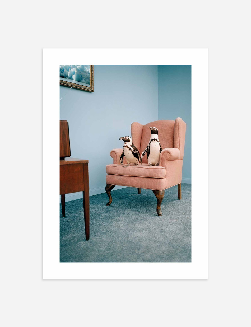 The Penguin Show Poster